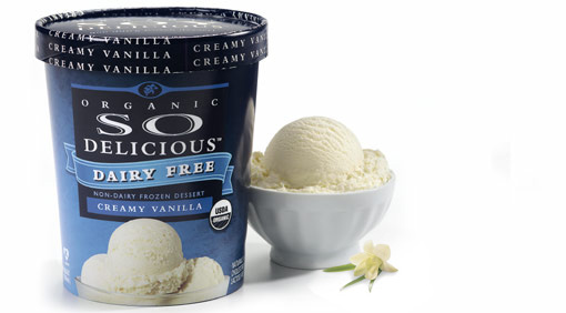 Turtle Mountain Organic So Delicious Dairy Free Creamy Vanilla Ice